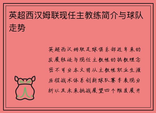 英超西汉姆联现任主教练简介与球队走势